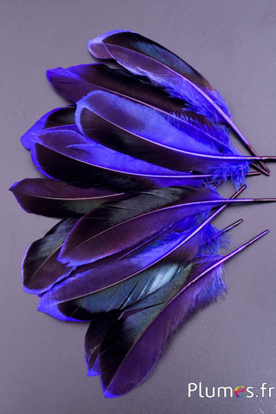 Canard - 8-10 cm - aubergine
